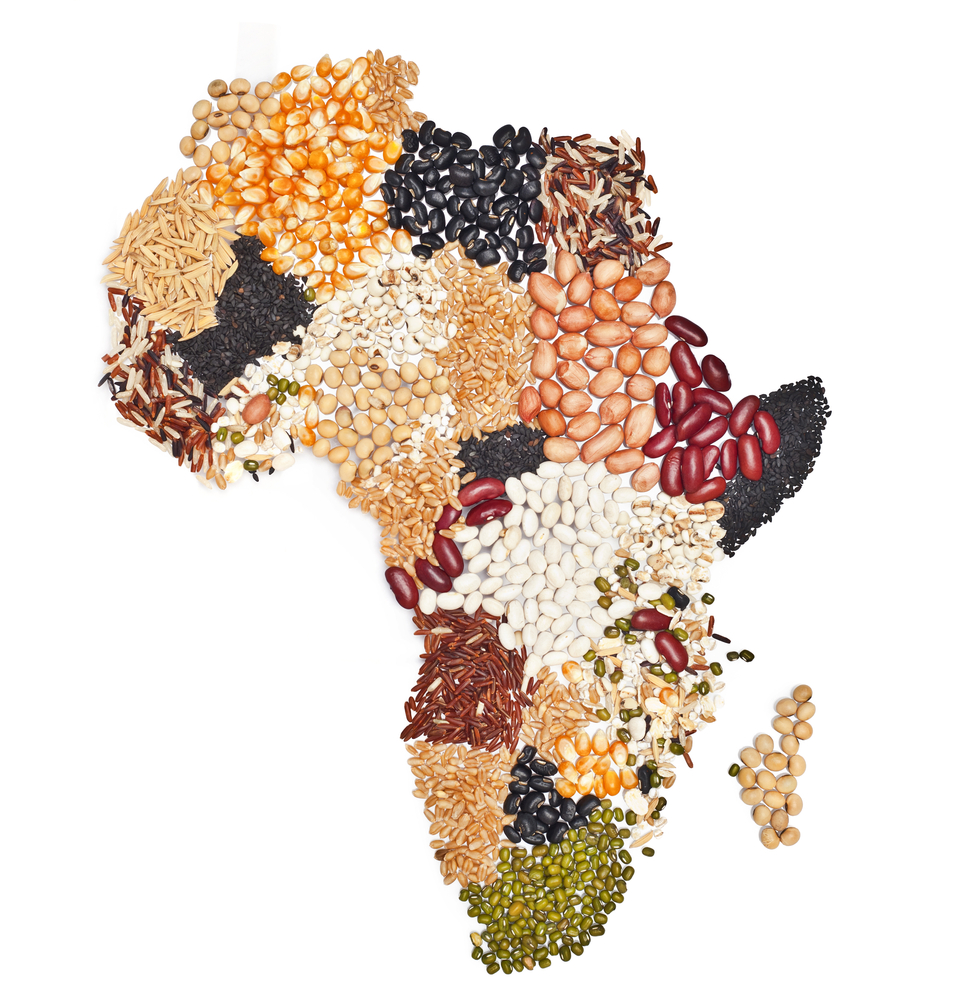 Carte de l'Afrique dessinée avec des céréales et des épices
